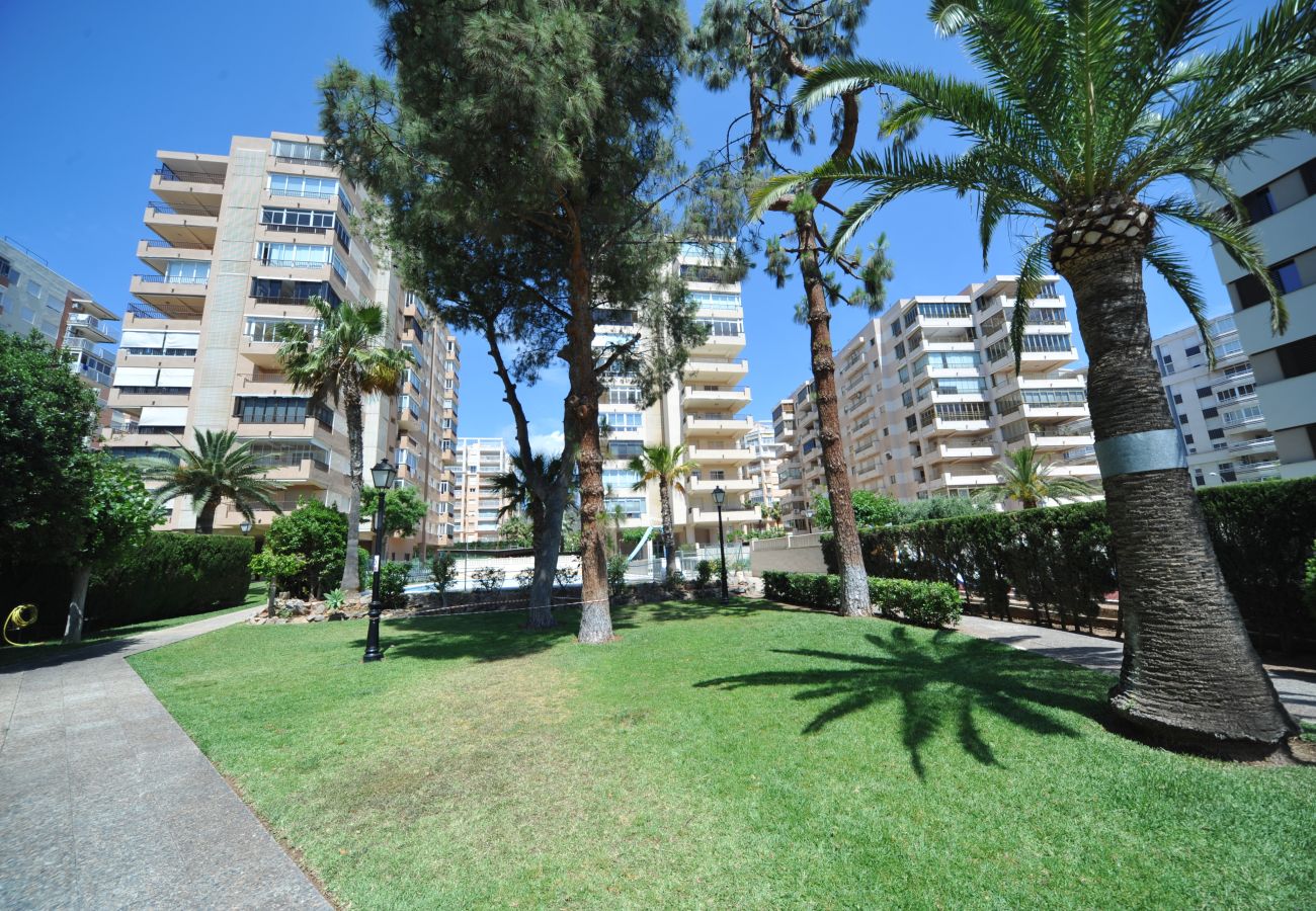 Apartment in Benicàssim - MADEIRA