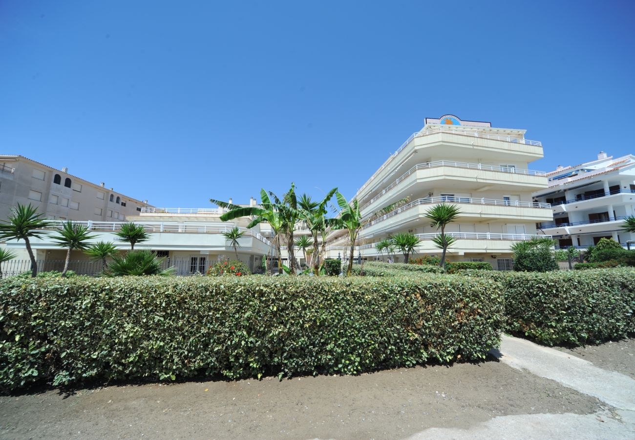 Apartment in Alcocebre / Alcossebre - CALA MONTERO SUPERIOR